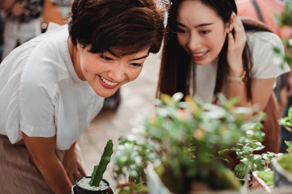 震惊！吴奇隆真实年龄揭晓，你猜不到！