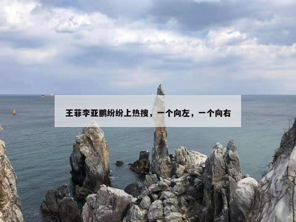 王菲李亚鹏纷纷上热搜，一个向左，一个向右