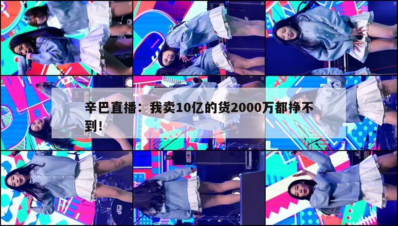 辛巴直播：我卖10亿的货2000万都挣不到！